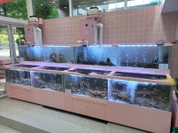 헬로크랩 부천점