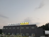 트랜스모터스