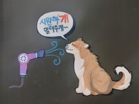 통영반려견 셀프목욕탕