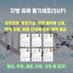 늘푸른외과의원
