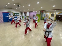 용인대명인태권도