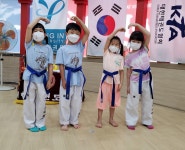 용인대명인태권도