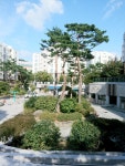 황금부동산공인중개사사무소