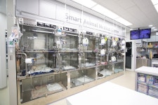 24시 스마트 동물의료센터