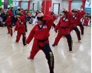 용인대명인태권도