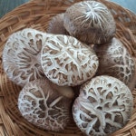 가온들찬 표고버섯 농장