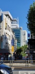조병호 세무사