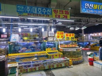 대호활어회수산