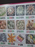 꽃길만두