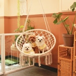 나나리펫하우스