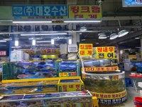 대호활어회수산