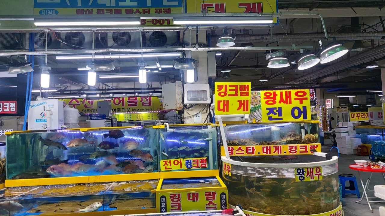 대호활어회수산