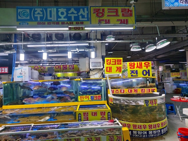 대호활어회수산