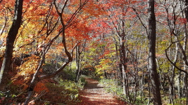 곰배령ArtHouse
