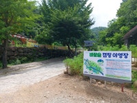 바람숲 야영장