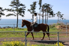 중문승마공원