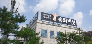 송화버섯 농장