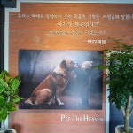펫더헤븐 본점