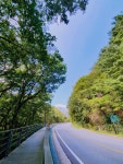 오색산새소리캠핑장
