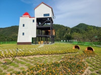 영월 동서강정원 연당원 카페