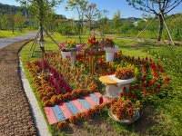 영월 동서강정원 연당원 카페