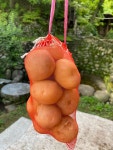 자라니 농촌교육농장