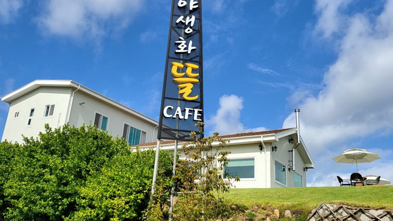 야생화뜰