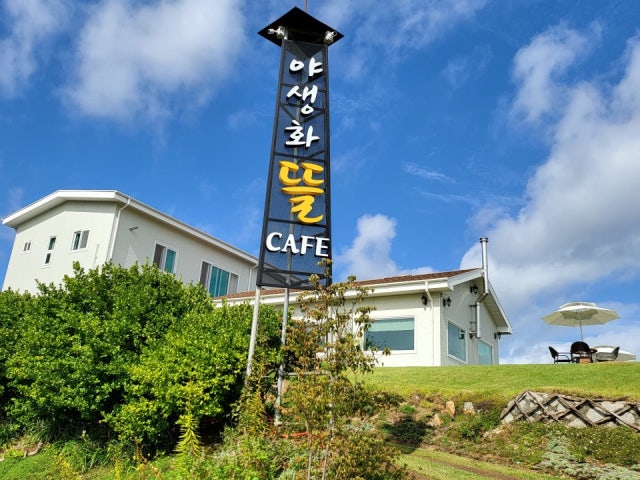 야생화뜰
