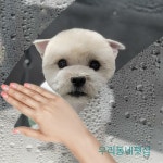 우리동네펫샵