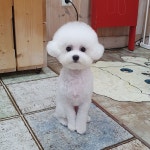 내개로와