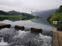 읍내리75-1캠핑장