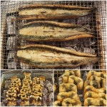 힘찬장어