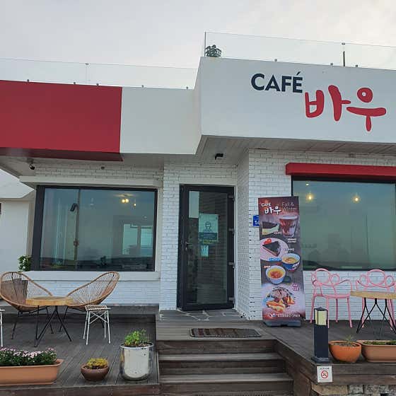 바우카페 사진