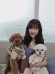 똥싼강아지