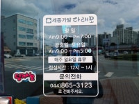 세종가발다래모