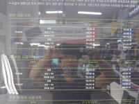 레인보우썬팅 블락포디 오토챔프