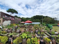 우리한우정육식당