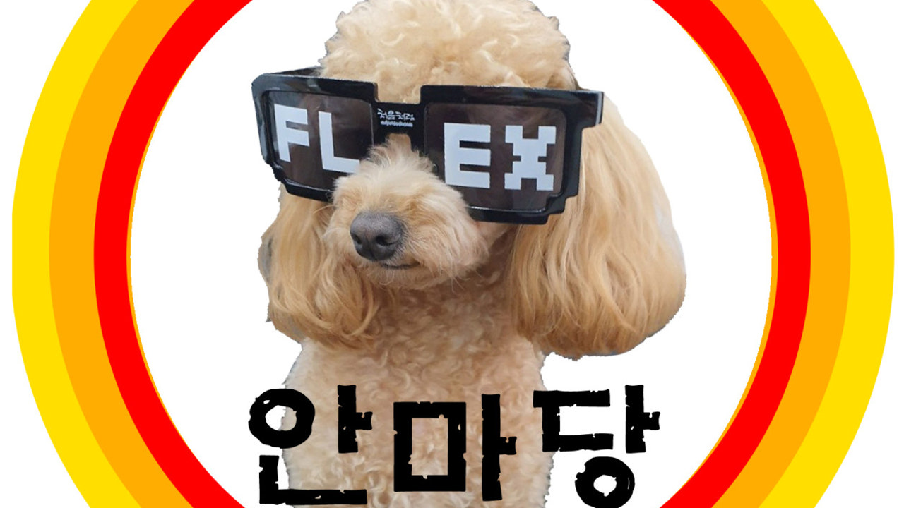 모찌네안마당