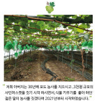 다옹이라옹이네방글농장