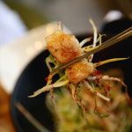 솔가숯불갈비 부안직영점