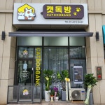 캣독방