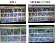 팜퓨리 스칼프메디슨 일산본점