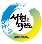 용인대 서현태권도장
