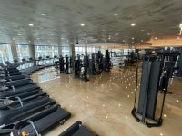 바디채널 정관점