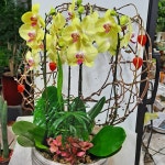 대림조경꽃식물원