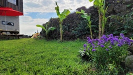 귀덕하우스 바당드레