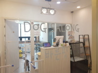 도그살롱바른핏