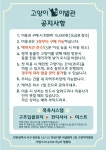 고양이이발관