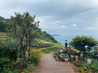 트인바다라메종