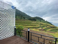 트인바다라메종